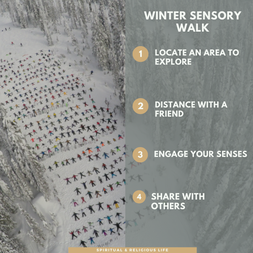 WINTER SENSORY WALK.  1) Locate an area to explore. 2) Distance with a friend. 3) Engage your senses  4) Share with others
