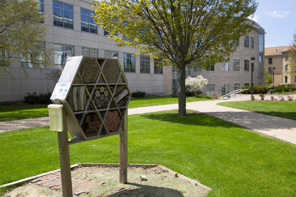 The hexagon-shaped pollination box is on the Main Hall green, near Youngchild Hall.